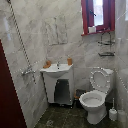 алекс