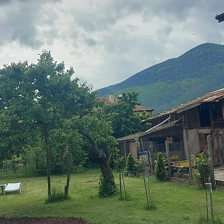 алекс * Sapareva Banya